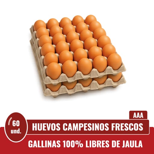Presentación de 60 huevos frescos tipo AAA